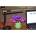 Настольная лампа "Мира" для растений с питанием от USB-порта 5В
