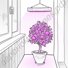 Обычная светодиодная лампа для растений "Сириус"